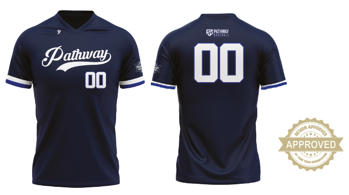 Navy Team V-Neck Jersey