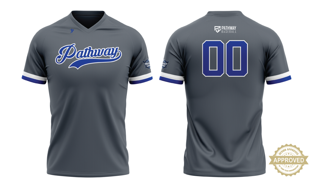 Grey Team V-Neck Jersey